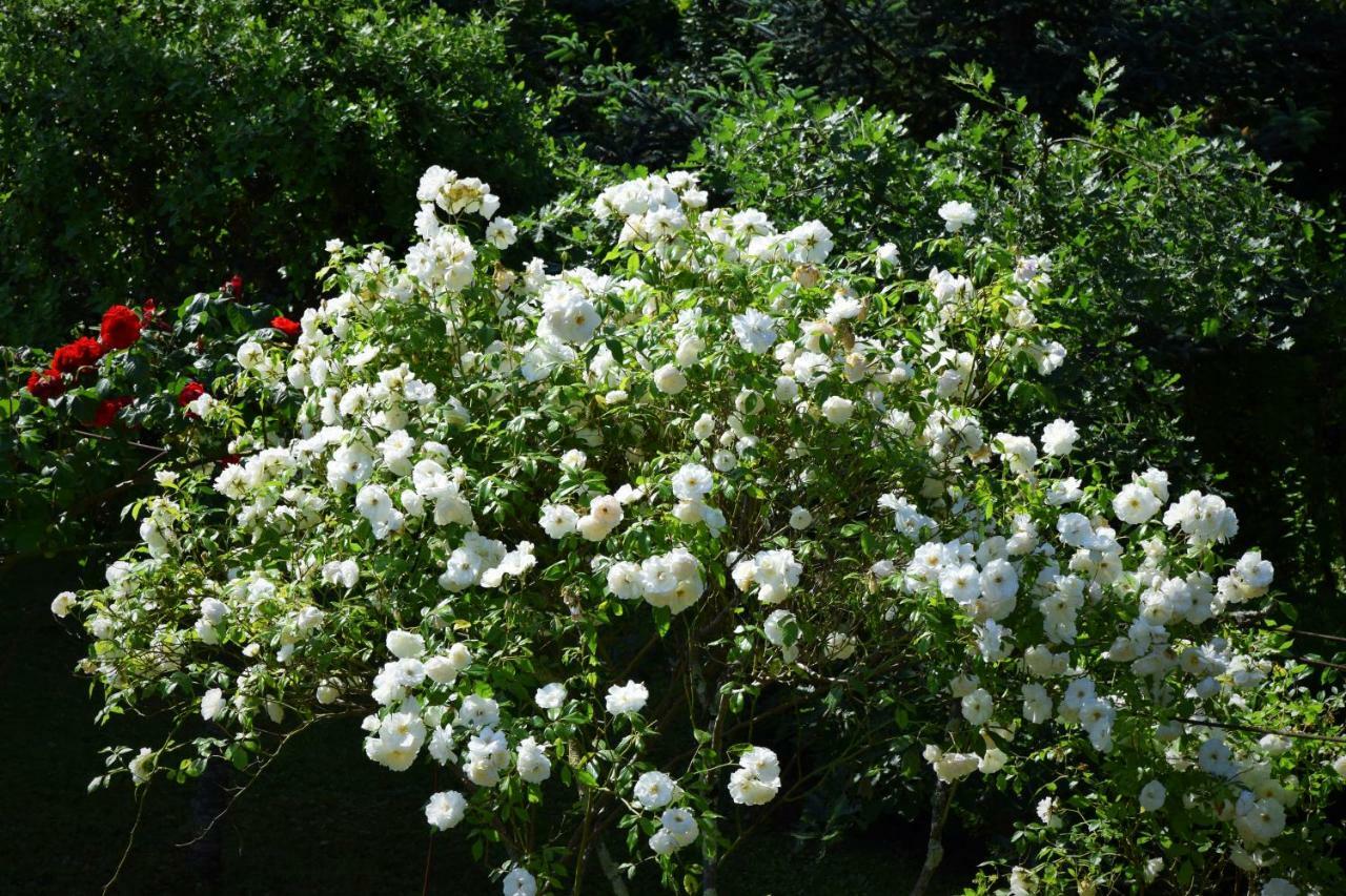L'Intemporelle B&B Le Buisson-de-Cadouin Exterior foto